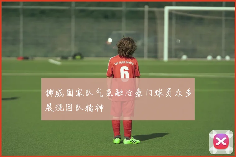 挪威国家队气氛融洽豪门球员众多展现团队精神