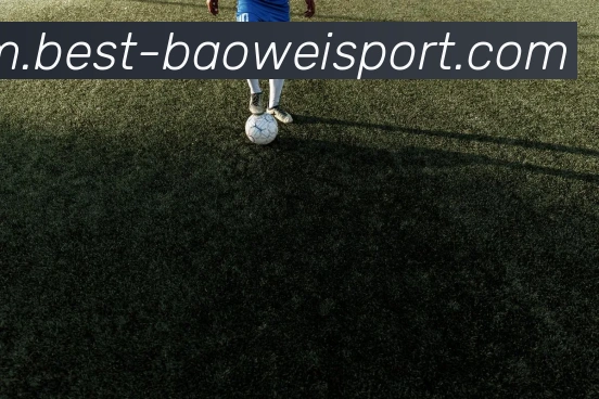 宝威体育APP 封面图